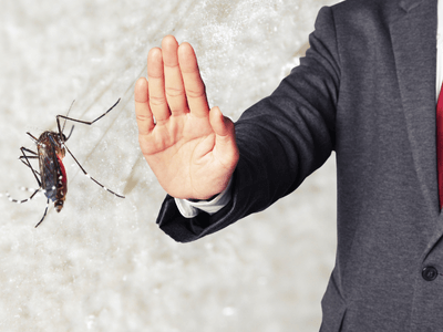 About Termite Inspection Warner Ranch - termite inspection experts in Warner Ranch